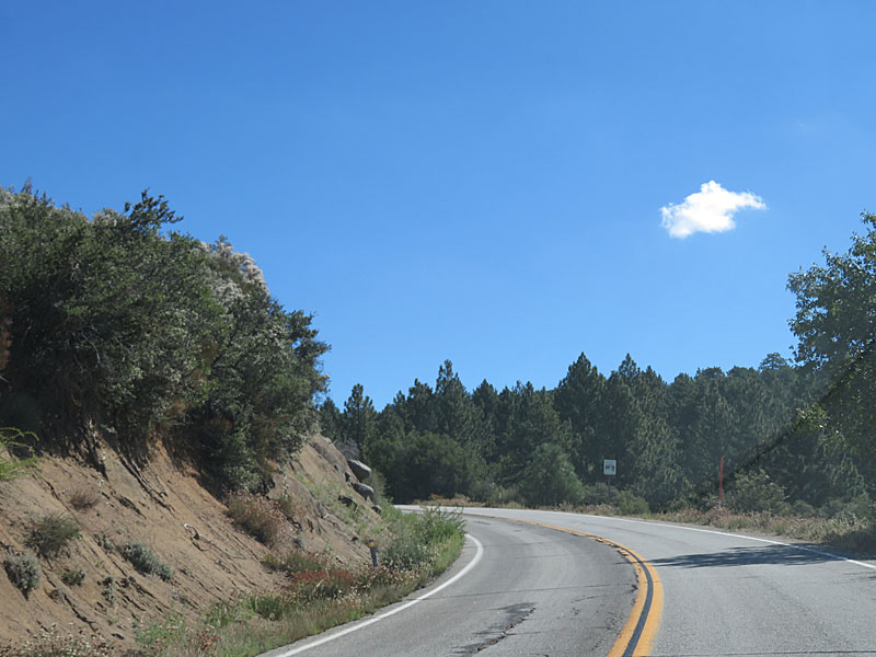 The Cleveland National Forest is made up of 460,000 acres in Southern California northeast of San Diego. This is the road to Mount Laguna. From the southern end of this area, you can see into Mexico. - photos by Joe Alexander