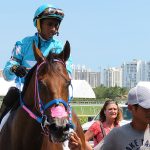 I spent an afternoon watching the thoroughbreds race at Gulfstream Park in Hallandale Beach, Florida, just north of Miami. The current season runs through Sept. 29. - photos by Joe Alexander