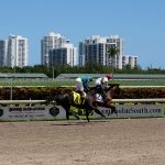 Legendary horse racetrack Gulfstream Park is located in Hallandale Beach, Florida, just north of Miami. - photos by Joe Alexander