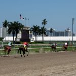 Legendary horse racetrack Gulfstream Park is located in Hallandale Beach, Florida, just north of Miami. - photos by Joe Alexander