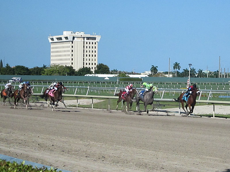 Gulfstream Park, home of the Florida Derby, is one of my favorite places to spend an afternoon. The track is in Hallandale Beach, Florida – just north of Miami. - photos by Joe Alexander