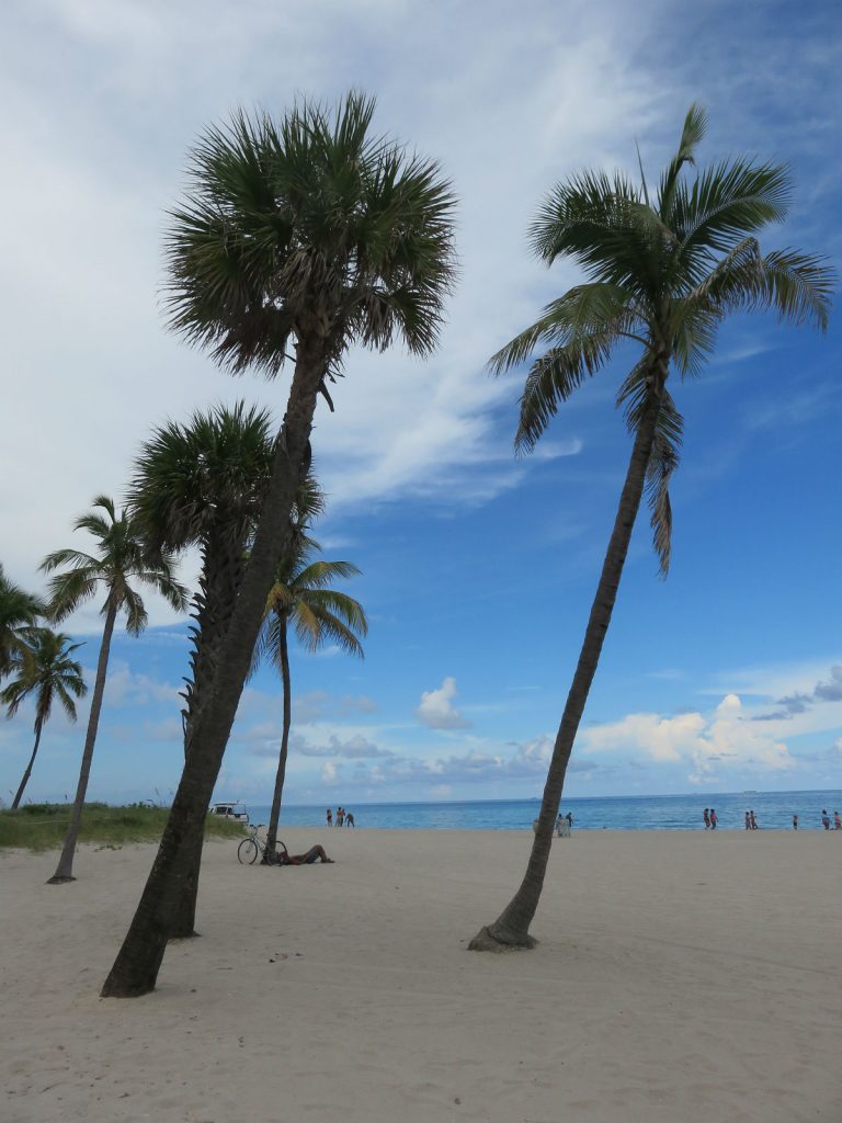 Surf, sun and sharks at Hollywood Beach, Florida. - photos by Joe Alexander