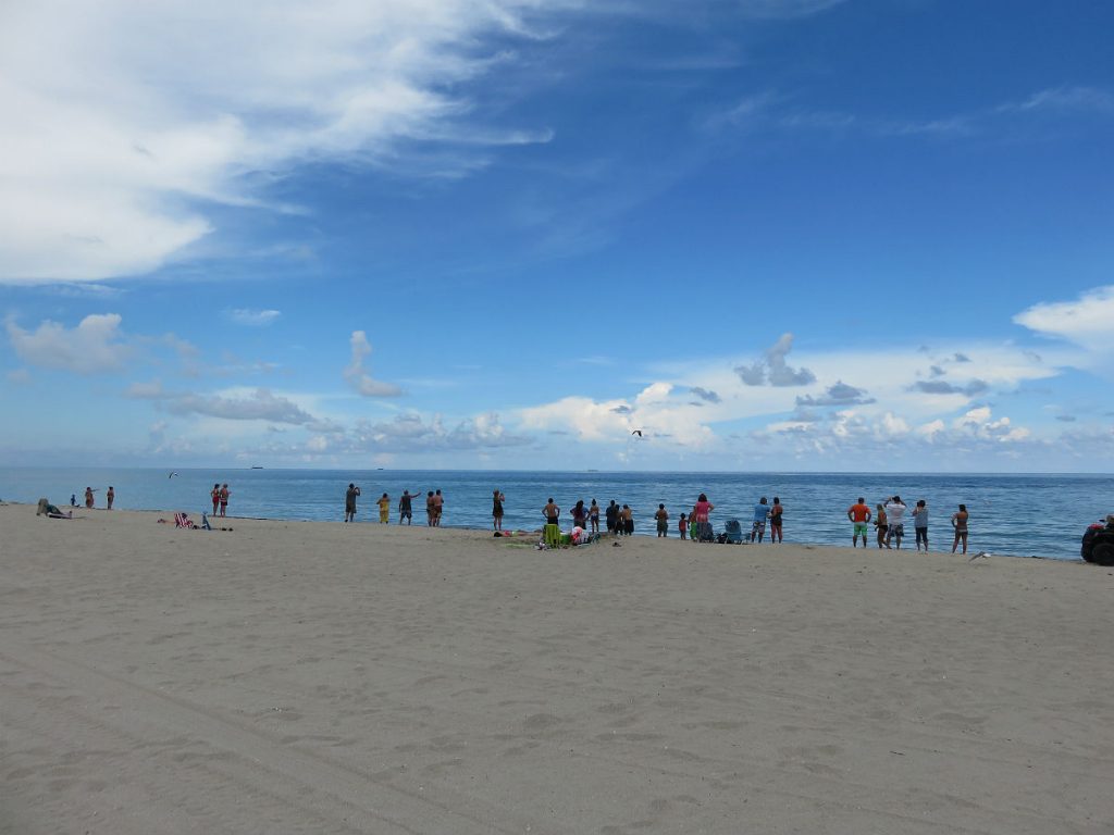 Surf, sun and sharks at Hollywood Beach, Florida. - photos by Joe Alexander