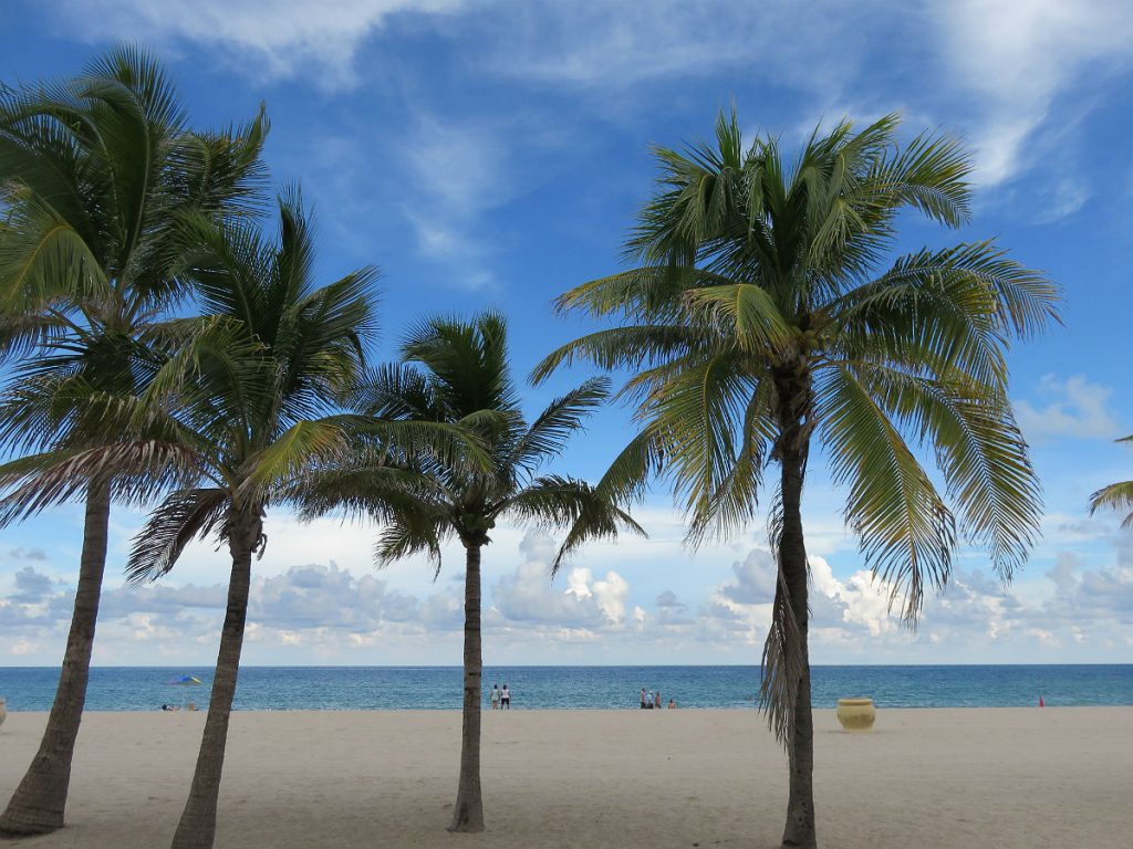 Surf, sun and sharks at Hollywood Beach, Florida. - photos by Joe Alexander