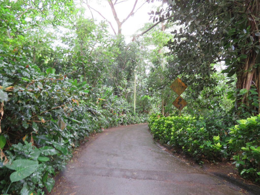 `A soggy trek through the jungle to a secluded waterfall just a few miles from Waikiki Beach in Oahu, Hawaii. – photos by Joe Alexander