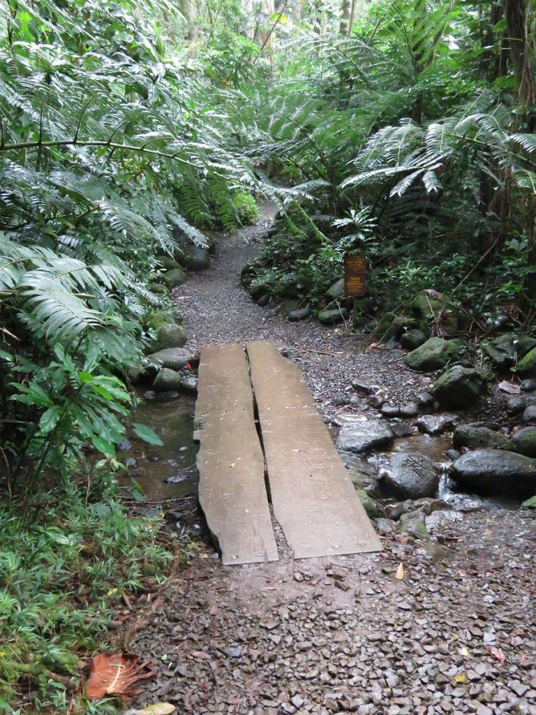 A soggy trek through the jungle to a secluded waterfall just a few miles from Waikiki Beach in Oahu, Hawaii. – photos by Joe Alexander