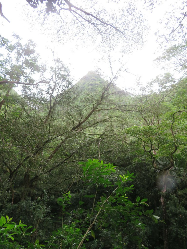 A soggy trek through the jungle to a secluded waterfall just a few miles from Waikiki Beach in Oahu, Hawaii. – photos by Joe Alexander