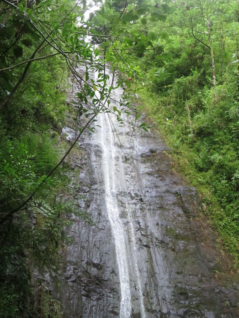 A soggy trek through the jungle to a secluded waterfall just a few miles from Waikiki Beach in Oahu, Hawaii. – photos by Joe Alexander