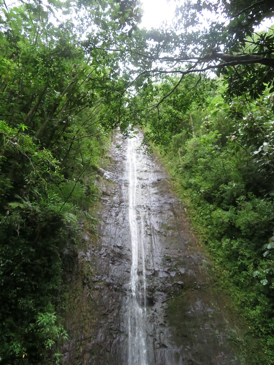 A soggy trek through the jungle to a secluded waterfall just a few miles from Waikiki Beach in Oahu, Hawaii. – photos by Joe Alexander