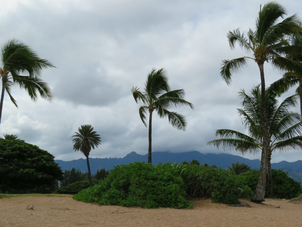 The North Shore of Oahu includes the legendary Hawaiian surfing hot spots of Sunset Beach and the Bonzai Pipeline. - photos by Joe Alexander