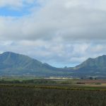 The road from Honolulu to the North Shore rolls though the central plain of Oahu between two areas of volcanic mountains. - photos by Joe Alexander