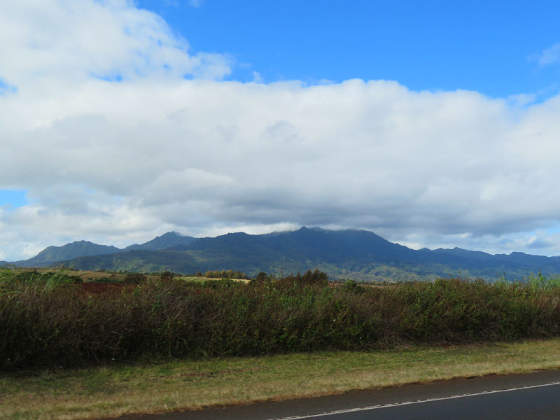 The road from Honolulu to the North Shore rolls though the central plain of Oahu between two areas of volcanic mountains. - photos by Joe Alexander
