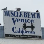 Venice Beach has been a mecca for body builders, artists and hippies in California for decades. - photos by Joe Alexander
