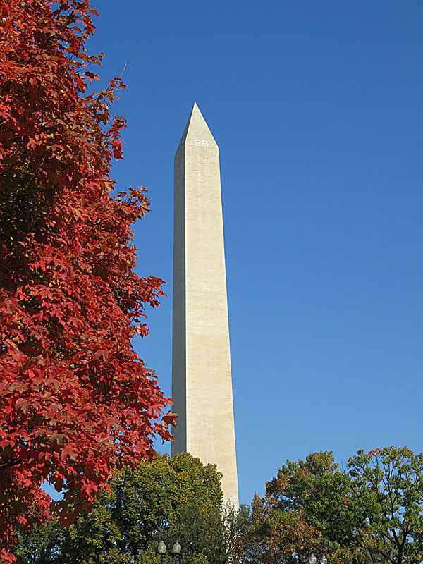 The changing leaves of fall add color to the National Mall in Washington D.C. - photos by Joe Alexander