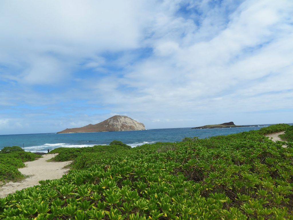 The dramatic meeting of old volcanoes and Pacific waves shape the windward beaches of Oahu, Hawaii. - photos by Joe Alexander