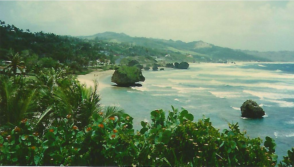 Bathsheba. Our trip to Barbados included rugged beaches, deep dark caves, beautiful greenery and some friendly animals. - photos by Joe Alexander