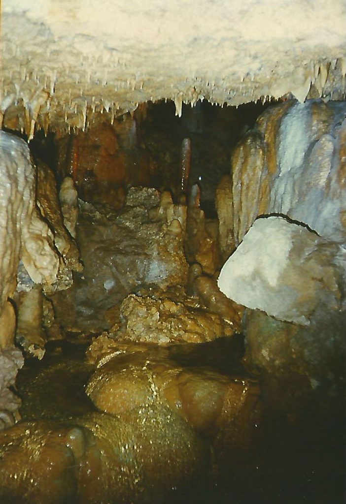 Harrison’s Cave. Our trip to Barbados included rugged beaches, deep dark caves, beautiful greenery and some friendly animals. - photos by Joe Alexander