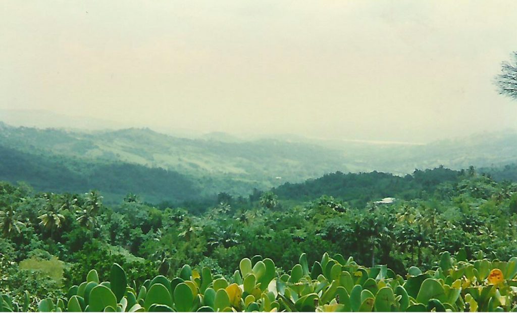 Highland District. Our trip to Barbados included rugged beaches, deep dark caves, beautiful greenery and some friendly animals. - photos by Joe Alexander