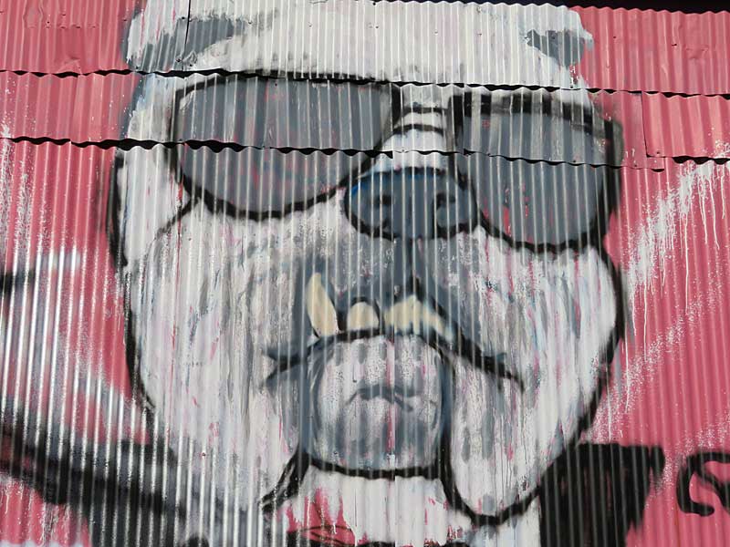 Cool bulldog mural