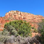 Iron gives the red color to the famous rocky terrain of the area around Sedona, Arizona. – photo by Joe Alexander