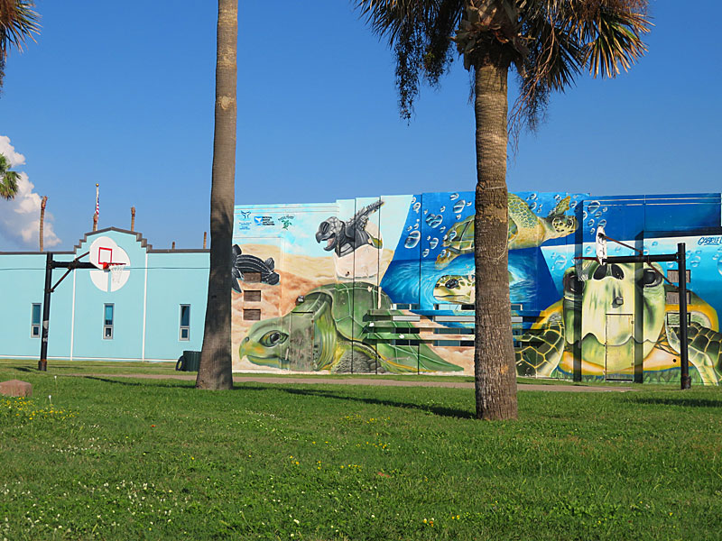 A sea turtle themed mural overlooks an outdoor basketball court near the beach in Galveston. - photo by Joe Alexander